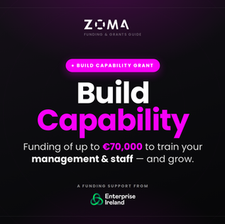 ZOMA — Enterprise Ireland Build Capability grant: up to €70,000 to upskill your management and staff